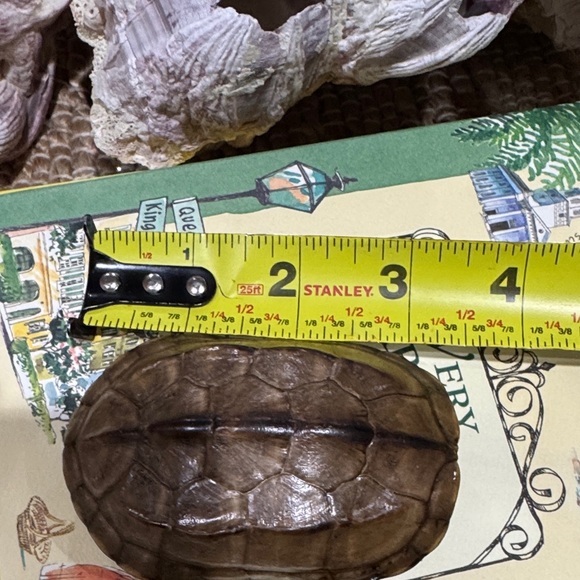Brown Turtle Shell - Picture 7 of 9
